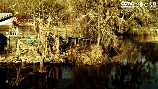 《万鳄深渊》:沼泽内命案频发,深渊巨鳄重回人