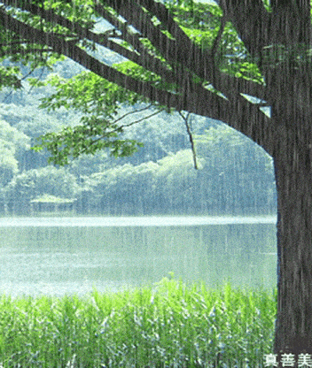 下雨,本来不是什么稀罕事儿,但这是春雨,俗话说:"春雨贵似油.