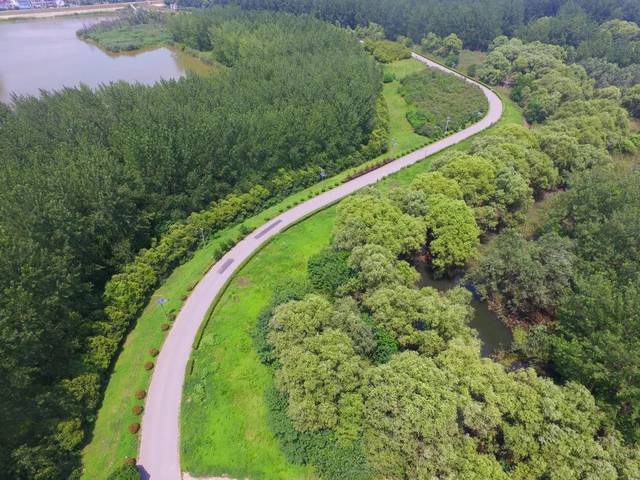 八卦洲街道:推进村居环境整治,打造"有颜值有内涵"中心花园