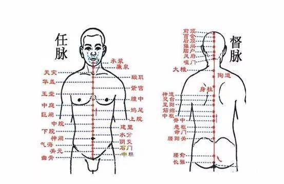 任督二脉的大致分区为:身柱,华盖一带,为肺区;神道与膻中一带为心区