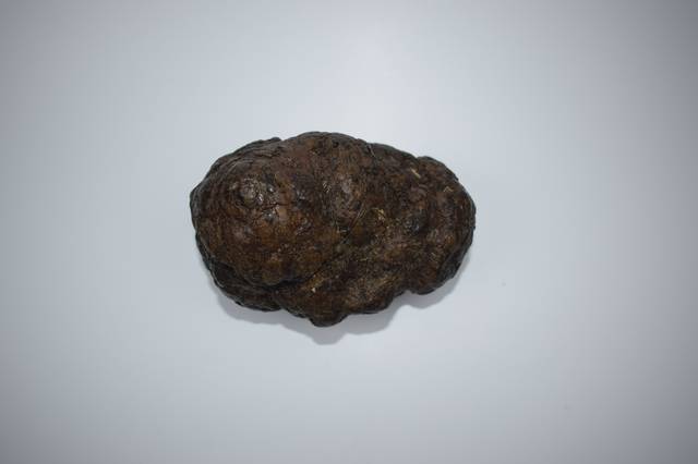 该品呈类球形,表面红棕色并挂有一层黑色光亮的薄膜,习称"乌金衣",它