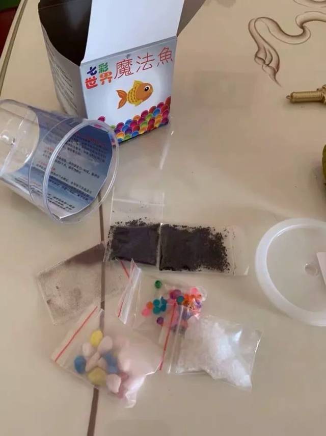 "土 水"两小时孵化出魔法鱼