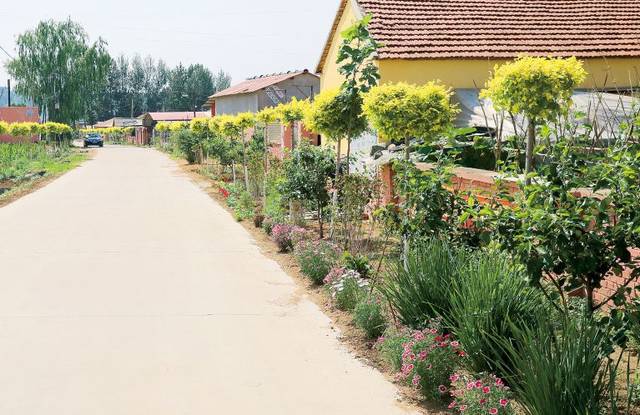 王家村:打造宜居新农村