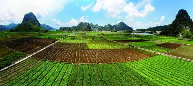 这个生态农业蔬菜基地不一般!