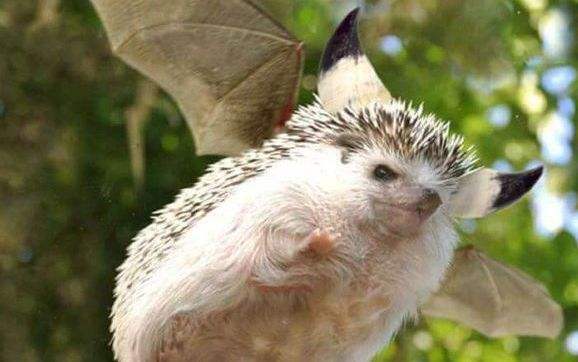 灭尽龙的日式名字ネルギガンテ内鲁涅伽尔,前一部分来自于苏美尔神话