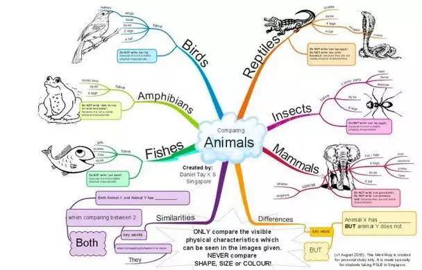 猪手图与子弹图的进阶图片