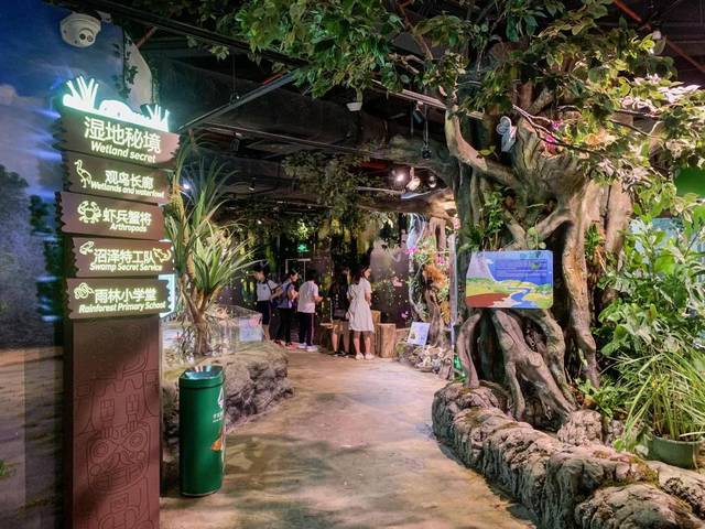 整个热带雨林被搬进正佳!七月生日当天还能免费入场!