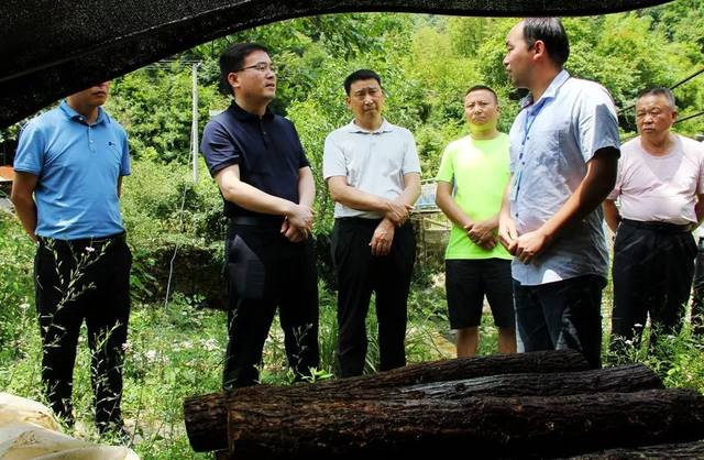 镇巴县长叶稳太到三元镇调研检查脱贫攻坚工作,说了这些._手机搜狐网