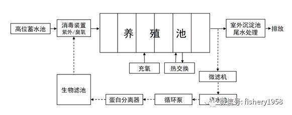 2 工藝流程 對蝦工廠化循環水高效生態養殖系統工藝流程示意圖如圖4