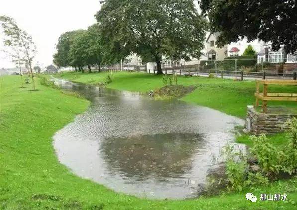 生物滯留設施指在地勢較低的區域,通過植物,土壤和微生物系統蓄滲