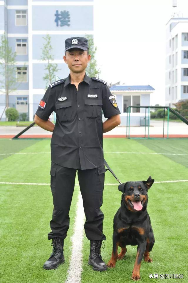 帅气的警犬,来qioqio有多厉害!