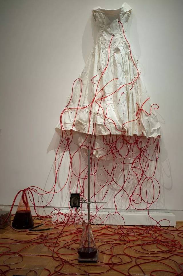 她捆绑自己的身体,感悟生死:人,应该活得更有人的样子