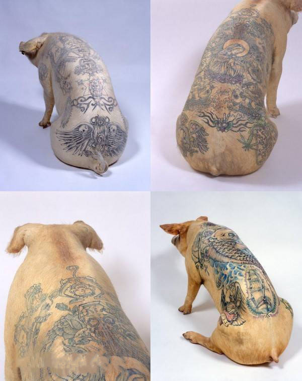 男子为艺术帮猪纹身,卖出百万高价,网友:有考虑过猪的感受吗?