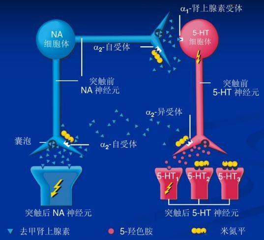 【抗抑郁药物行业深度研究】“心灵感冒”不容小视，其间市场大有乾坤（最新发布）