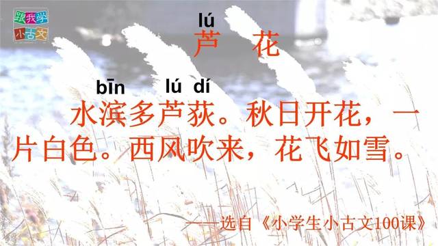 小古文仿写并不难,来看看这个示例!_手机搜狐网