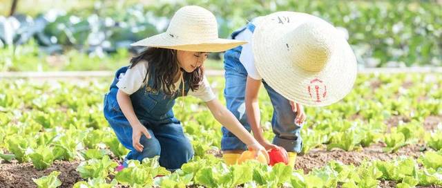 【田园农耕.1日】7.21周末暑期社会实践, 招募小小农夫宝贝独立营