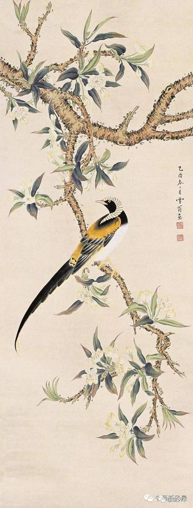 工笔花鸟大师陈之佛的花鸟_搜狐网