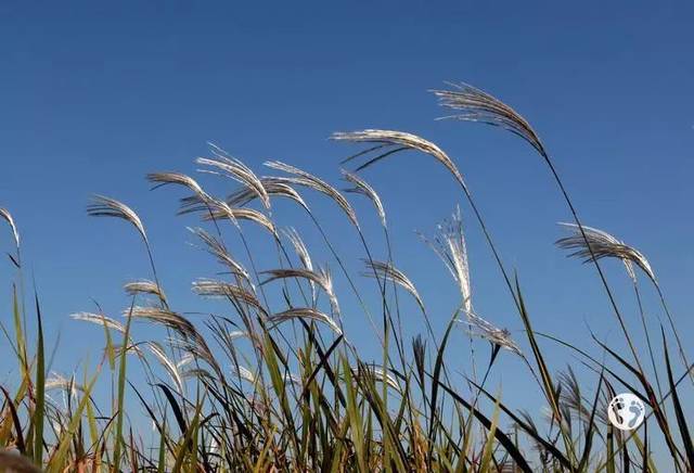 为什么天地这般复杂地把风约束在中间?