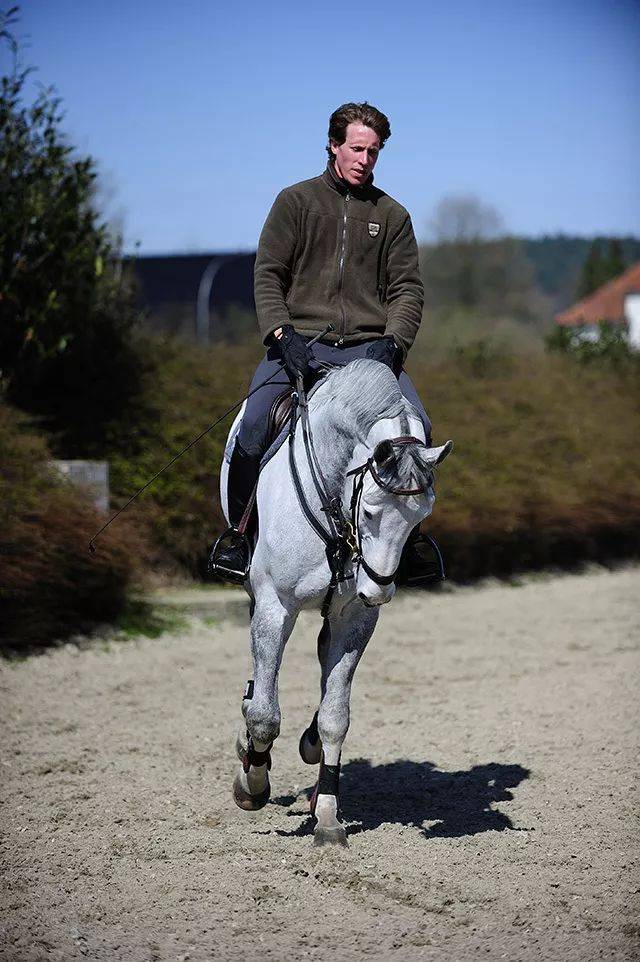 伸展练习,增强马的力量和柔韧性