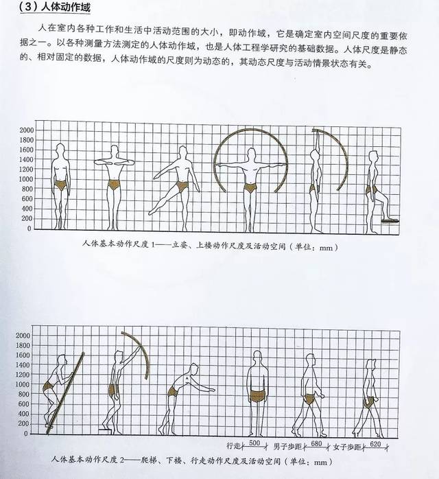 室內設計師必須知道的人體工程學!