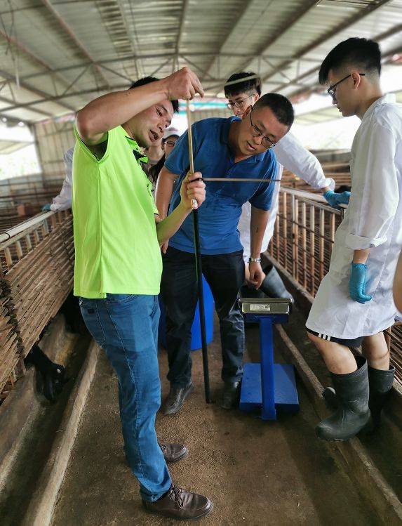 在广东群林牧业有限公司, 同学们通过座谈,体尺测量,血样采集, 采集了