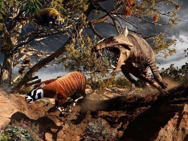 远古巨猪，现代家猪的祖先，这体型比野牛还大_动物