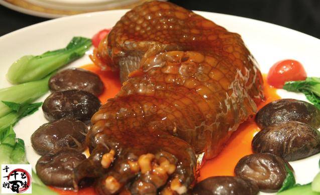 酒店高档菜红烧鳄鱼掌制作工艺与注意事项_手机搜狐网