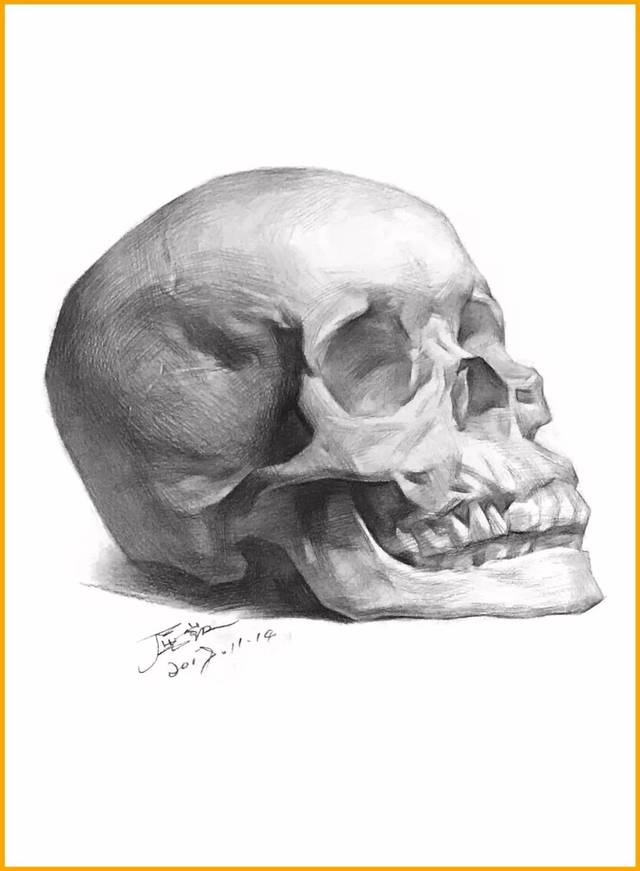 一文看懂如何画好头骨!