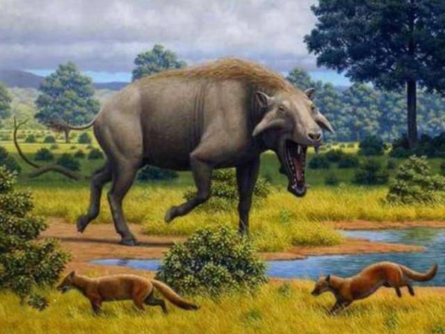 cc02b4ef7f994d1c8a8238f924cc19