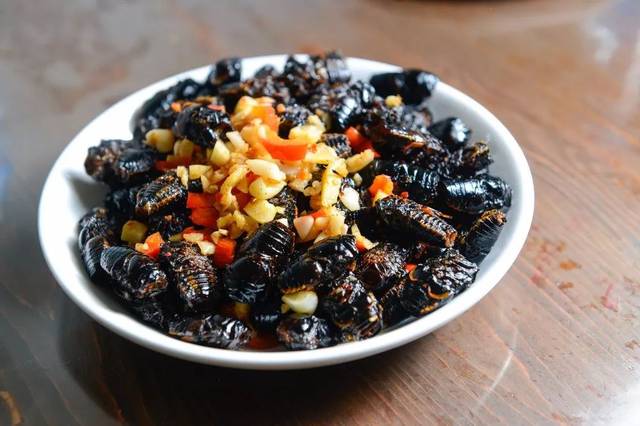 不过由于成蝉已经会飞,不好抓, 所以在市场上成蝉的价格不便宜, 谋Ζ