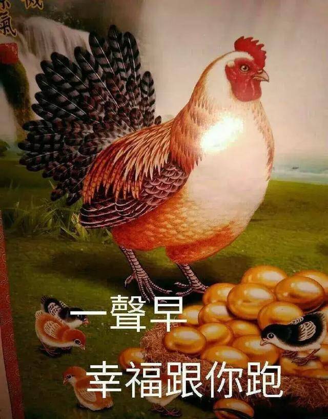 清晨为我们敞开心扉早安朋友珍惜每一天早上好