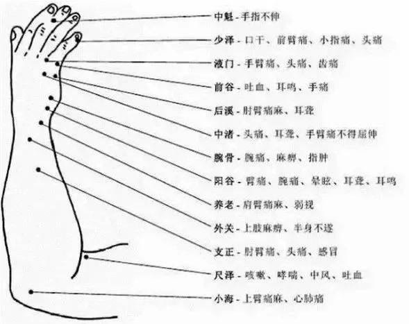 胳膊上的身体反射区图图片