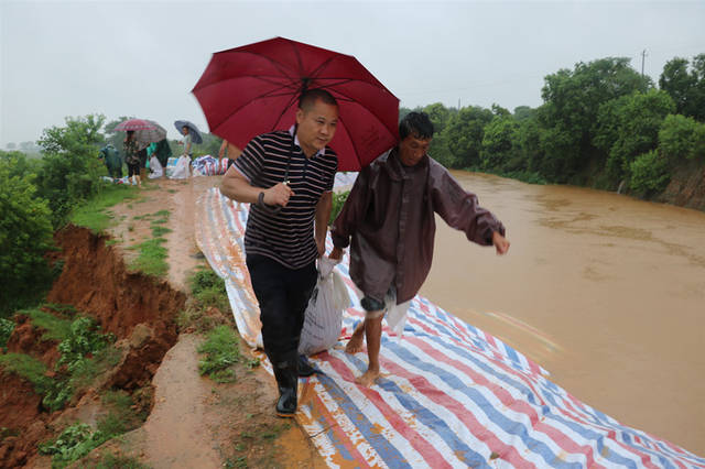 樟树市昌傅镇防汛抗洪雨夜鏖战急