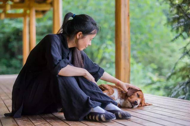 「白云仙踪」习琴演武,探访武当秘境,深度体验隐士生活