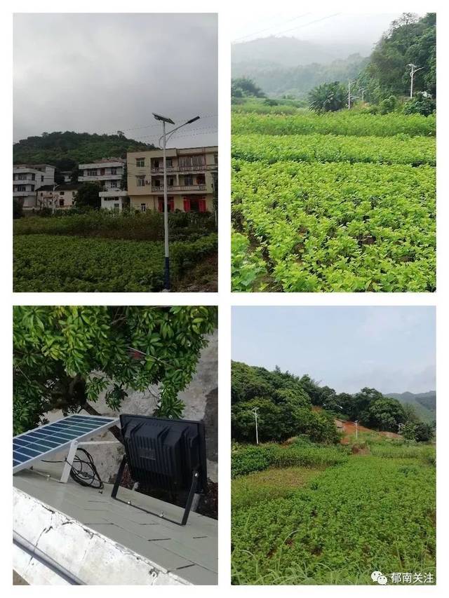 东坝甲洲村,郁南人间仙境!你们到过了吗?