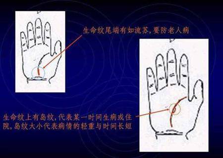 看看自己的手！手相算命图解，手相图解大全及财富手纹解读_搜狐网
