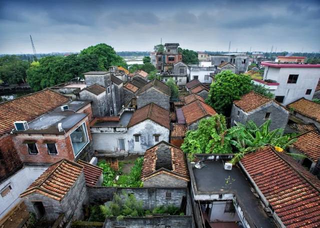 善意的设计丨"最没有价值"的青田村如何c位出道?