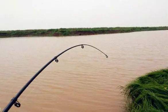 海竿底钓下层鱼的诀窍_手机搜狐网