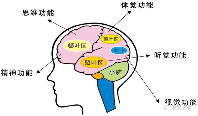【慧爱之家·三六本】全脑课程说明会开讲喽!