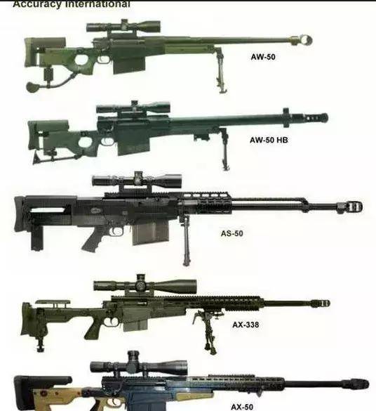 世界十大狙击步枪图片