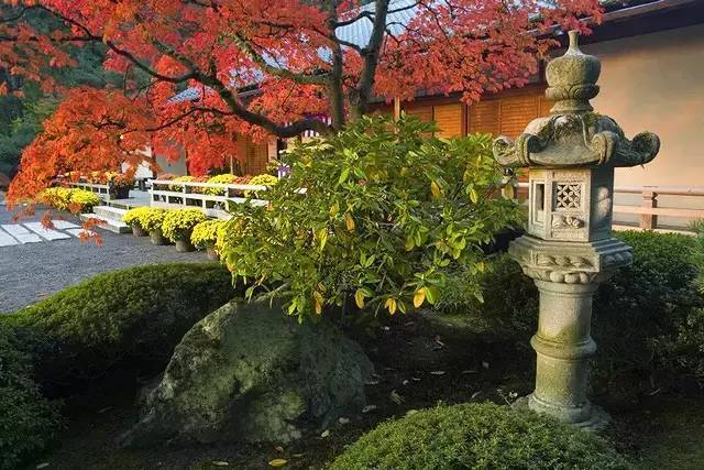 排名第一的日本花园却不在日本？_手机搜狐网