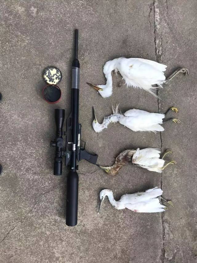 事发佛子山镇持枪三男子当场被抓