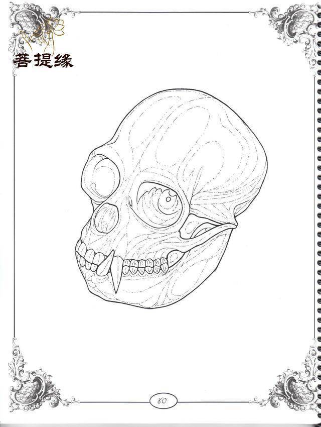 我是雕刻師菩提緣死神骷髏紋身雕刻素描手稿第二十九期