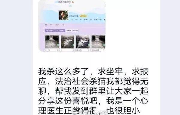 商丘一qq群,有人发虐猫血腥图片