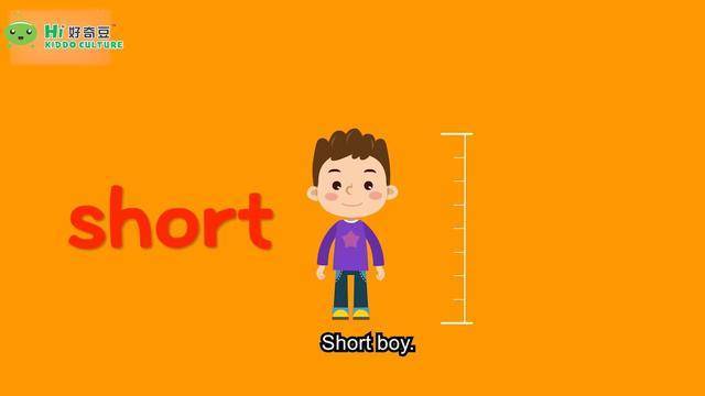 高对低,大对小,英文反义词你知道哪些呢