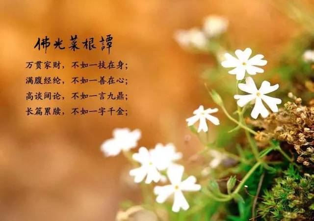 菜根谭的智慧100句经典名句全文及译文集锦