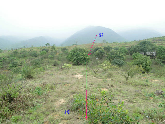 王君植大師廣東尋龍點穴,這個風水案例值得學習_手機搜狐網