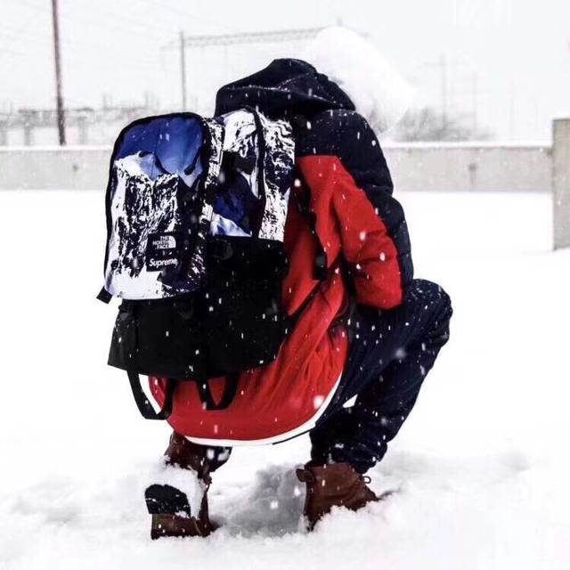 Backpack with the brand logo on the back in the snowfield