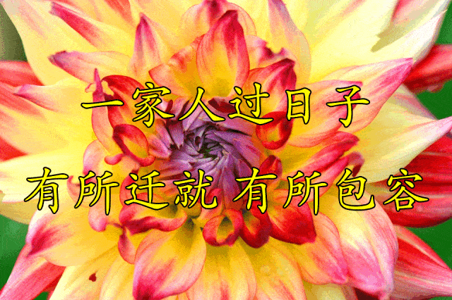 640_426gif 动态图 动图
