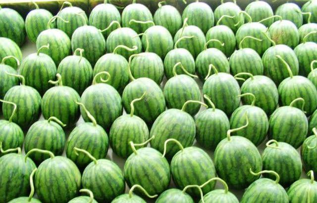 国人吃了全世界七成的西瓜现在才明白老外为什么不吃